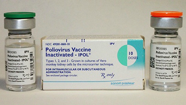 Polio IPV Ipol Vaccine Ingredients